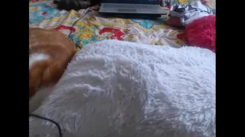 Molly And Brad online show from February 5, 2025, 9:29 pm