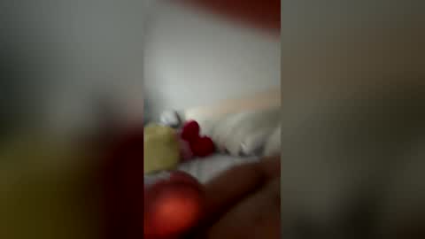 monchito88 online show from June 5, 2026, 11:27 am