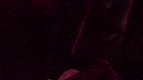 montydxxx2 online show from September 14, 2025, 3:05 am