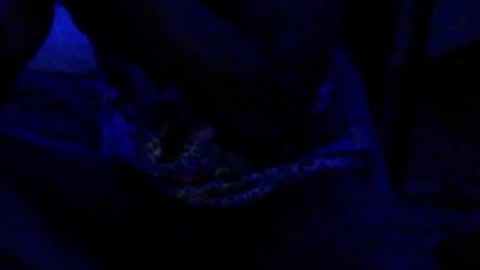 Snapshot of montydxxx2 chatting on December 17, 2025, 4:35 pm montydxxx2 online show from December 17, 2025, 4:35 pm