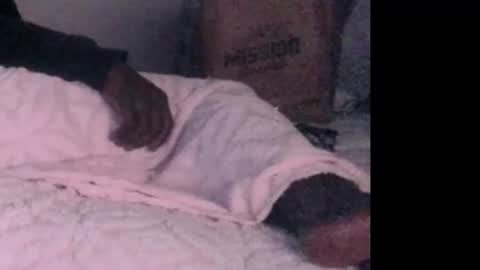 Snapshot of montydxxx2 chatting on February 3, 2026, 6:40 am montydxxx2 online show from February 3, 2026, 6:40 am