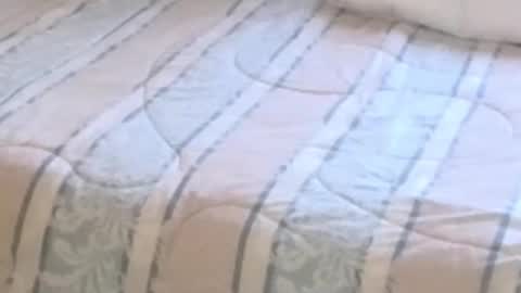 Snapshot of montydxxx2 chatting on February 12, 2026, 11:22 pm montydxxx2 online show from February 12, 2026, 11:22 pm