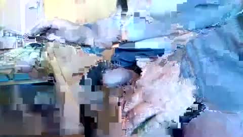 Snapshot of mookie2 chatting on January 11, 2025, 9:47 am mookie2 online show from January 11, 2025, 9:47 am