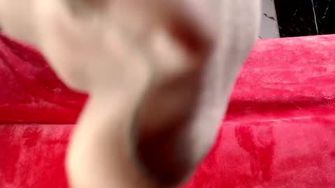 moolly_evanz online show from February 4, 2026, 2:34 pm