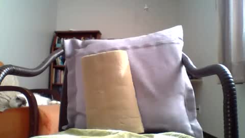 mountfort1967 online show from July 10, 2026, 2:52 pm