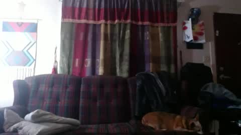 mr_happy12 online show from November 7, 2025, 11:49 pm