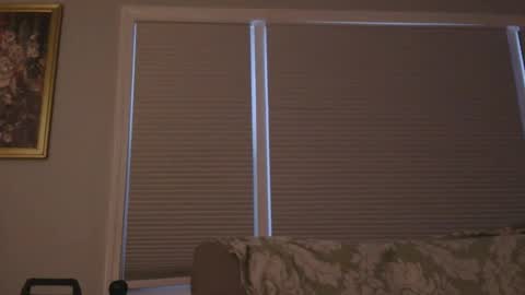 Snapshot of mrbrigggs chatting on January 7, 2026, 12:29 pm mrbrigggs online show from January 7, 2026, 12:29 pm