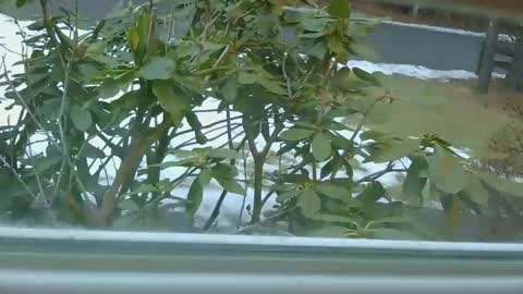 Snapshot of mrbrigggs chatting on January 14, 2026, 12:11 pm mrbrigggs online show from January 14, 2026, 12:11 pm