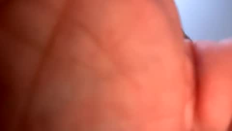 mrfrankfuckforfree online show from January 19, 2025, 5:26 am