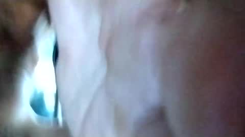 Snapshot of mrhotcock7inch chatting on December 27, 2024, 8:24 am mrhotcock7inch online show from December 27, 2024, 8:24 am