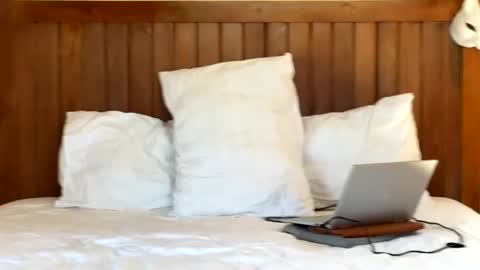 Max online show from June 8, 2026, 6:47 am