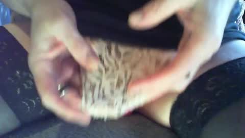 mojo online show from December 30, 2024, 11:38 pm