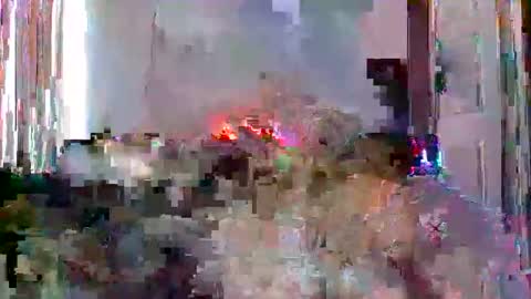 mrmountainman91 online show from December 22, 2025, 5:54 pm