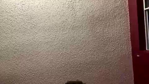 Snapshot of mrpurifire chatting on January 19, 2026, 1:31 am Angel online show from January 19, 2026, 1:31 am