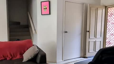 mudjimba online show from December 16, 2024, 10:56 pm