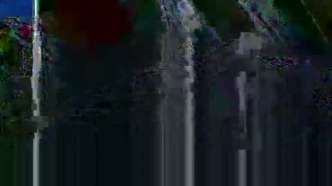 mudjimba online show from December 15, 2025, 4:44 pm