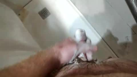 mugglesmuggler online show from March 20, 2026, 10:42 am