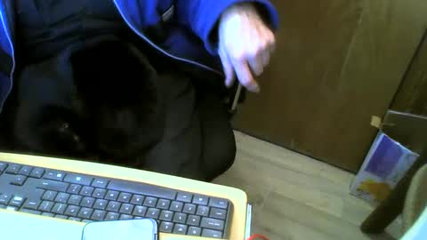 muller520 online show from January 15, 2025, 5:37 pm