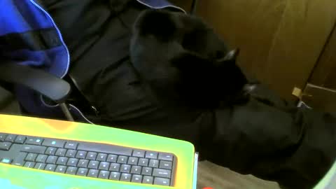 muller520 online show from January 18, 2025, 3:59 pm