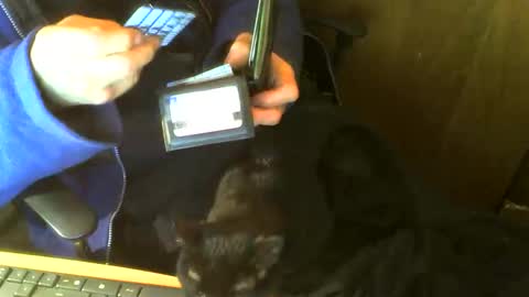 Snapshot of muller520 chatting on February 25, 2026, 3:54 pm muller520 online show from February 25, 2026, 3:54 pm