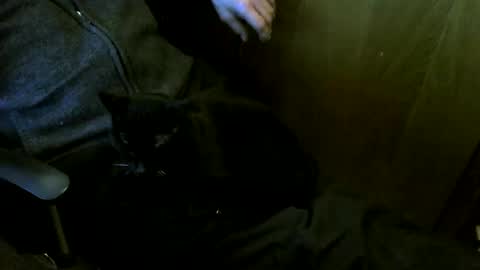 Snapshot of muller520 chatting on March 12, 2026, 4:02 pm muller520 online show from March 12, 2026, 4:02 pm