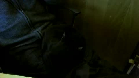 Snapshot of muller520 chatting on March 18, 2026, 5:16 pm muller520 online show from March 18, 2026, 5:16 pm