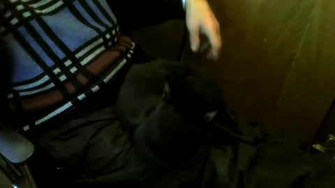 Snapshot of muller520 chatting on March 24, 2026, 4:34 pm muller520 online show from March 24, 2026, 4:34 pm