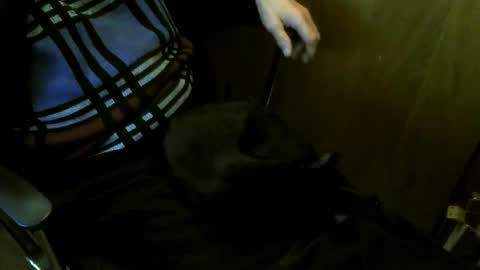 Snapshot of muller520 chatting on March 27, 2026, 7:35 pm muller520 online show from March 27, 2026, 7:35 pm