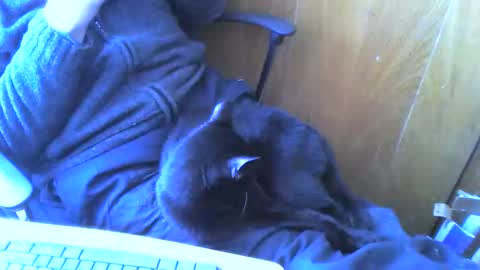 Snapshot of muller520 chatting on April 2, 2026, 2:26 pm muller520 online show from April 2, 2026, 2:26 pm