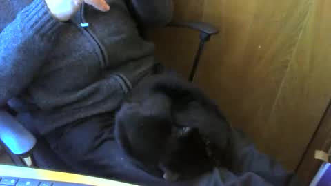 Snapshot of muller520 chatting on April 13, 2026, 3:50 pm muller520 online show from April 13, 2026, 3:50 pm