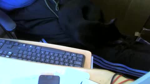 Snapshot of muller520 chatting on May 13, 2026, 2:58 pm muller520 online show from May 13, 2026, 2:58 pm