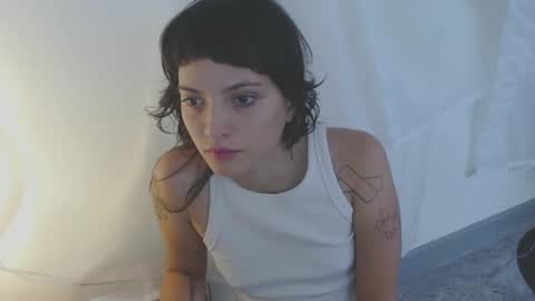   online show from November 19, 2025, 4:51 pm