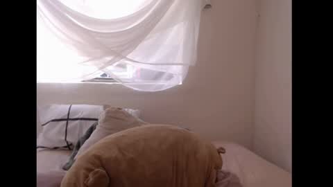   online show from April 6, 2026, 6:42 pm