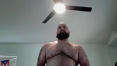 Bearded online show from May 11, 2026, 4:04 pm
