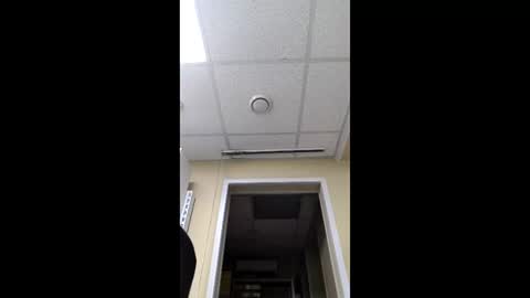 Muriiyarxmagic online show from January 18, 2026, 12:09 pm