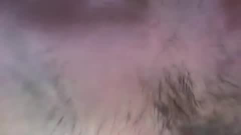 musclehair3 online show from July 13, 2026, 8:11 pm