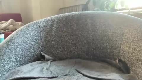 muslgut online show from March 9, 2025, 7:05 pm