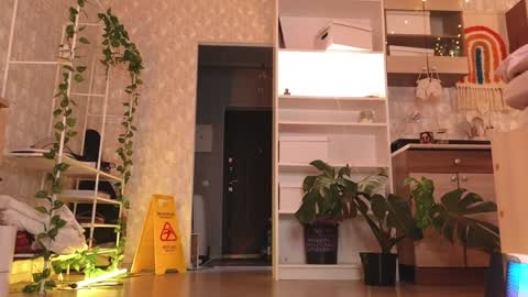  MIA  I will be here Monday Wednesday Thursday Saturday online show from January 12, 2025, 3:46 pm