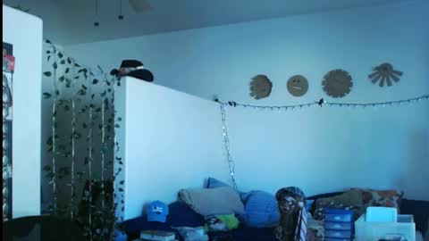 LA MARIPOSA DE MARICOPA online show from March 2, 2025, 9:43 pm