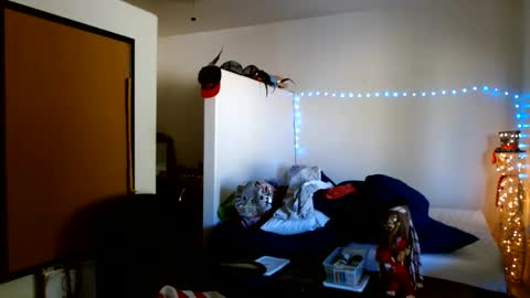 LA MARIPOSA DE MARICOPA online show from October 7, 2025, 9:12 pm