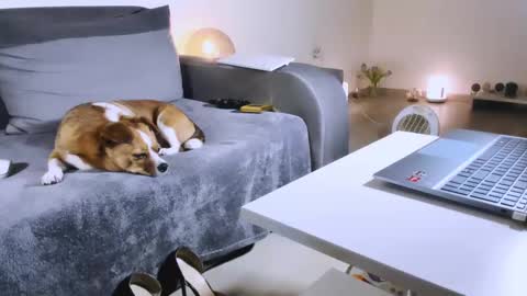 Anda online show from February 17, 2025, 10:58 pm