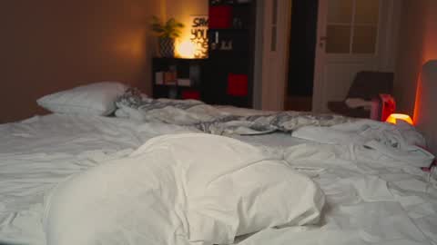 Snapshot of mynaughtynights chatting on January 7, 2025, 3:54 pm Sima online show from January 7, 2025, 3:54 pm