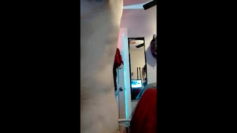 Snapshot of nachito650 chatting on December 19, 2025, 12:50 am cheesechip online show from December 19, 2025, 12:50 am