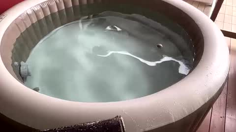 Sexyhotpapa online show from December 2, 2024, 11:12 am