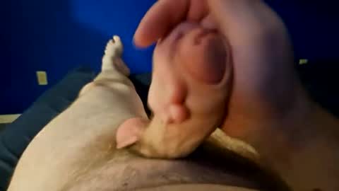 Naked slut online show from December 16, 2024, 4:45 am