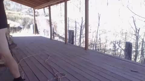 Naked Cabin Man online show from November 14, 2025, 5:33 pm