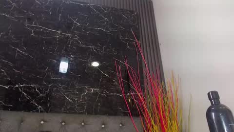 Snapshot of nalaroy chatting on January 10, 2025, 3:16 pm NALAROY online show from January 10, 2025, 3:16 pm