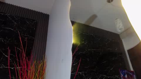 Snapshot of nalaroy chatting on January 11, 2025, 12:40 pm NALAROY online show from January 11, 2025, 12:40 pm