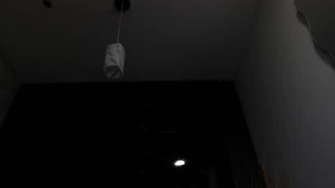 Snapshot of nalaroy chatting on February 15, 2025, 12:01 pm NALAROY online show from February 15, 2025, 12:01 pm