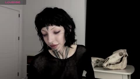 Nana online show from December 28, 2024, 4:09 pm